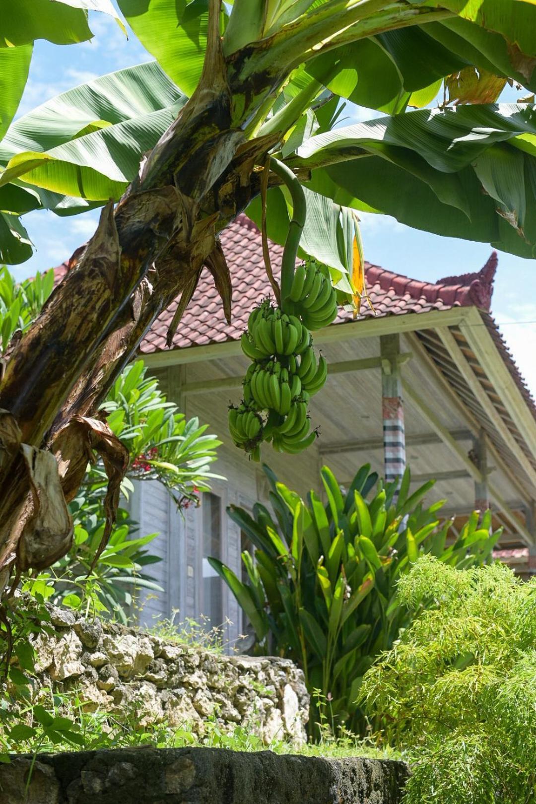 Mesari Hut Lembongan Hotel Exterior foto